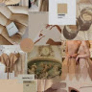 Meet your Posher, Joy